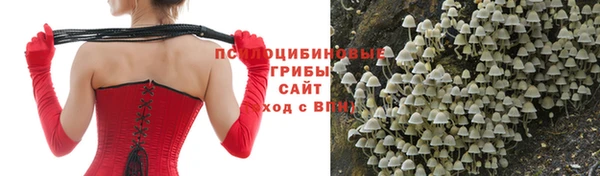 крисы Армянск