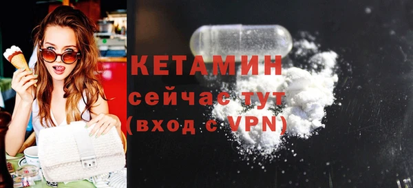 крисы Армянск